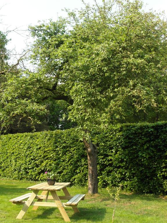 Bed & Breakfast De Haere Bed & Breakfast Doornspijk Exterior foto
